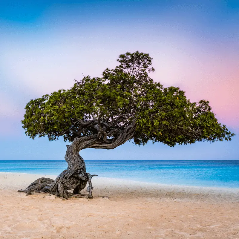 destination-image